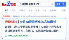 授索引擎首页收录的品淋展示价值